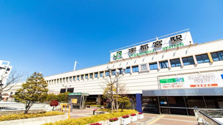 栃木県宇都宮市でIT相談を無料で対応｜フリーランス一覧紹介